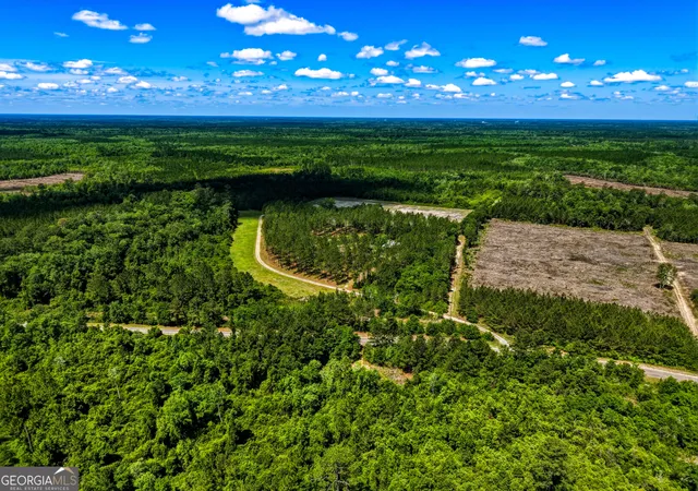3rd image of 88 Minnesota Rd, Screven, GA 31560 | MLS# 10774680