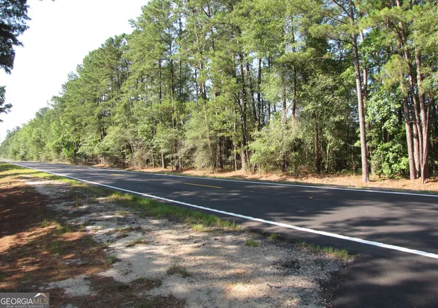 Photo 1 of Land for sale at 0 Highway 17, Newington, GA 30446 | MLS# 10800559 | Listing updated on 2026-07-21