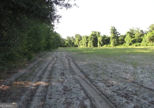 Photo 2 of Land for sale at 0 Highway 17, Newington, GA 30446 | MLS# 10800559 | Listing updated on 2026-07-21