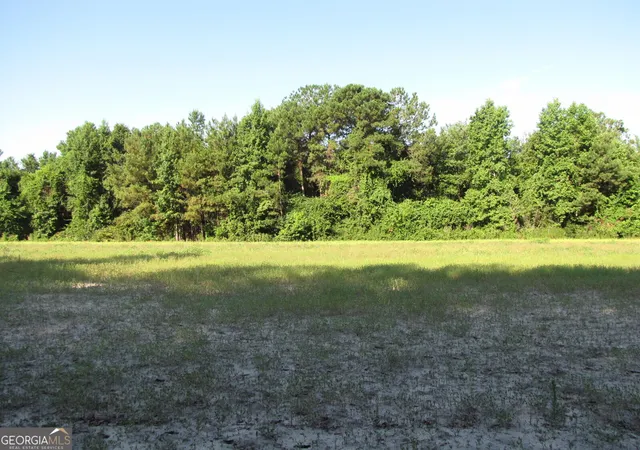 Photo 3 of Land for sale at 0 Highway 17, Newington, GA 30446 | MLS# 10800559 | Listing updated on 2026-07-21