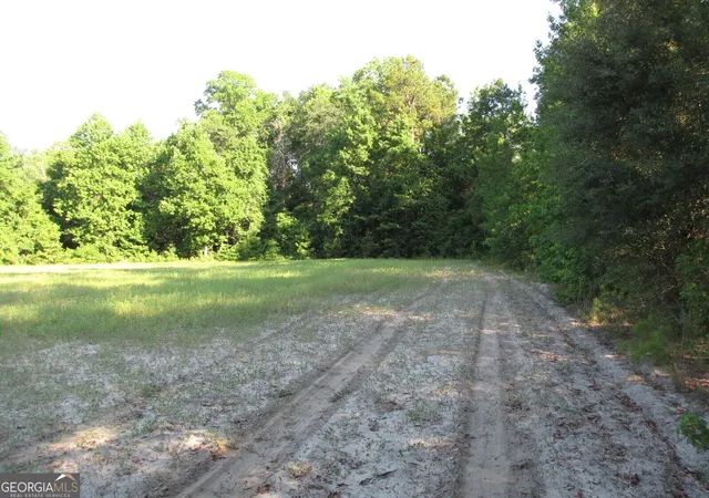Photo 3 of Land for sale at 0 Highway 17, Newington, GA 30446 | MLS# 10800559 | Listing updated on 2026-07-21
