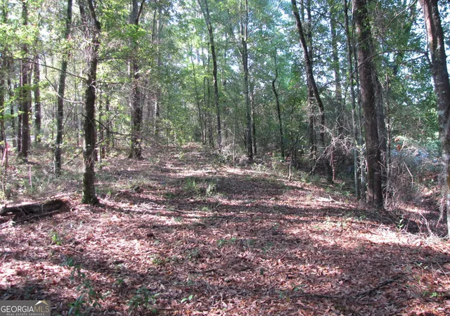 Photo 4 of Land for sale at 0 Highway 17, Newington, GA 30446 | MLS# 10800559 | Listing updated on 2026-07-21