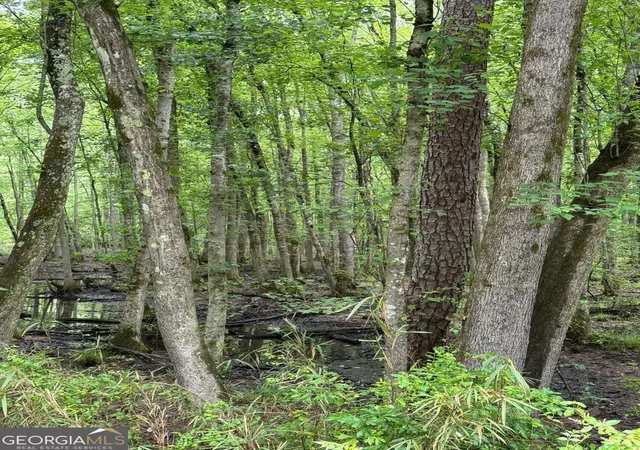 Photo 2 of Land for sale at 0 Friendship Church Rd Sw, Marietta, GA 30064 | MLS# 10510111 | Listing updated on 2026-08-27