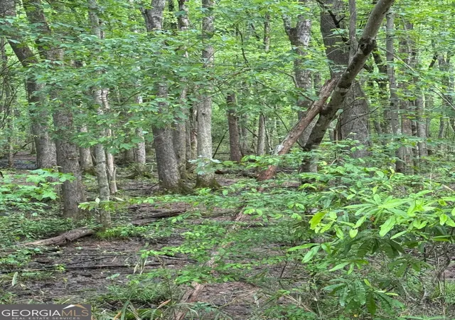 Photo 3 of Land for sale at 0 Friendship Church Rd Sw, Marietta, GA 30064 | MLS# 10510111 | Listing updated on 2026-08-27