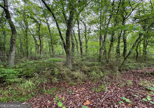 Photo 3 of Land for sale at 0 Friendship Church Rd Sw, Marietta, GA 30064 | MLS# 10510111 | Listing updated on 2026-08-27