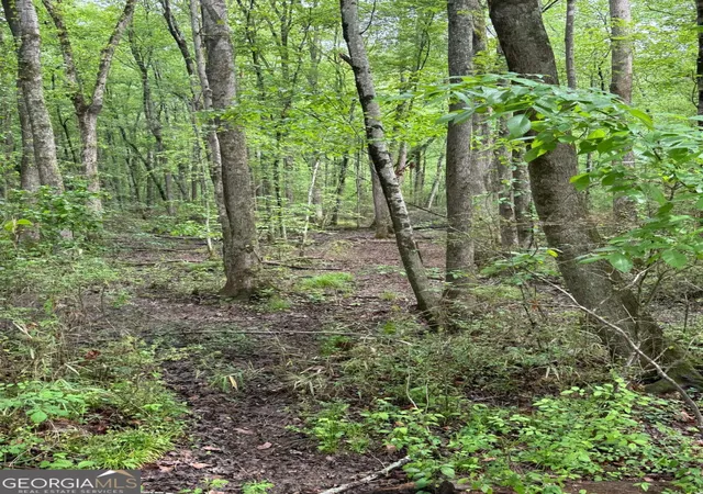 Photo 4 of Land for sale at 0 Friendship Church Rd Sw, Marietta, GA 30064 | MLS# 10510111 | Listing updated on 2026-08-27