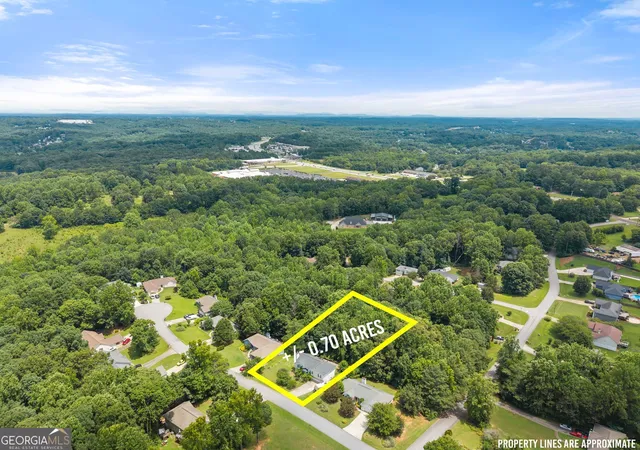 Homes for sale in Flowery Branch, GA | 4516 Nohl Ridge Lane, Flowery Branch, GA 30542 | MLS# 10793089