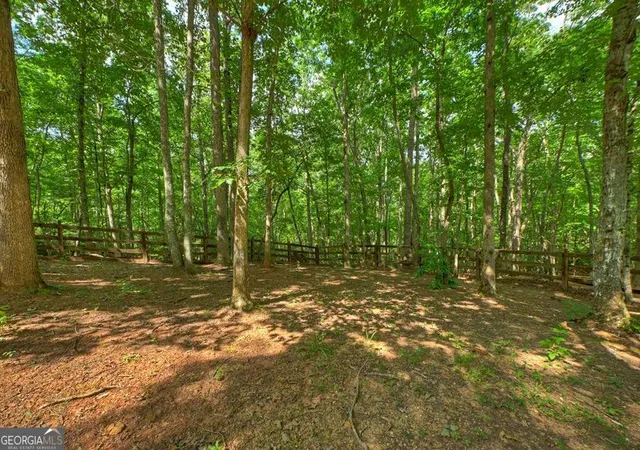 32nd image of 21 Trails End Ln, Morganton, GA 30560 | MLS# 10804511