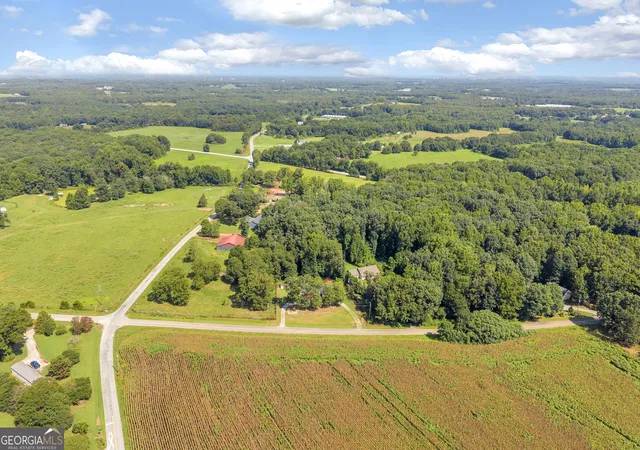 46th image of 324 Old Canon Church Rd, Bowersville, GA 30516 | MLS# 10825199