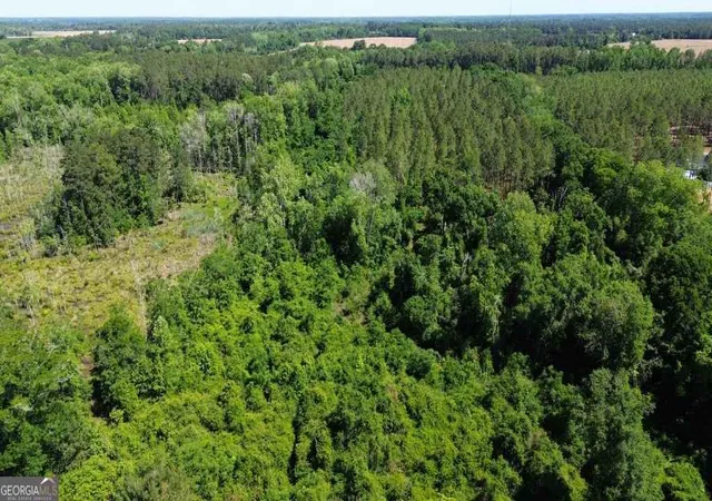 1st image of 0 Reedy Branch Rd, Statesboro, GA 30458 | MLS# 10760193