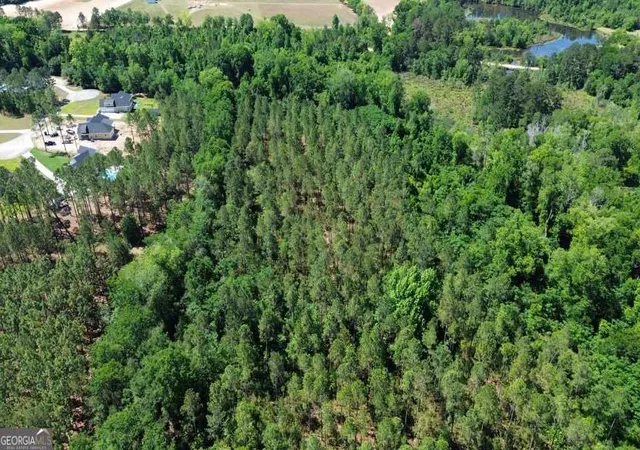 4th image of 0 Reedy Branch Rd, Statesboro, GA 30458 | MLS# 10760193
