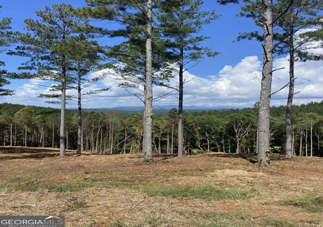 1st image of Lot 63 Lacey Springs Ln, Ellijay, GA 30540 | MLS# 10816681
