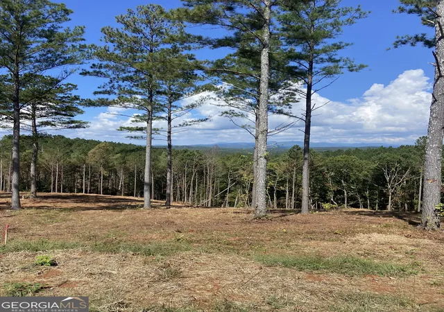 27th image of Lot 63 Lacey Springs Ln, Ellijay, GA 30540 | MLS# 10816681