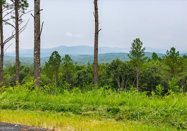 2nd image of Lot 63 Lacey Springs Ln, Ellijay, GA 30540 | MLS# 10816681