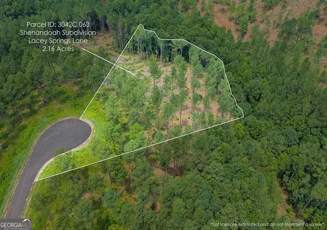 3rd image of Lot 63 Lacey Springs Ln, Ellijay, GA 30540 | MLS# 10816681