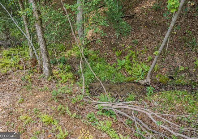 4th image of Lot 63 Lacey Springs Ln, Ellijay, GA 30540 | MLS# 10816681