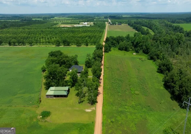 5th image of 1034 Cecil Tyre Rd, Bristol, GA 31518 | MLS# 10801033