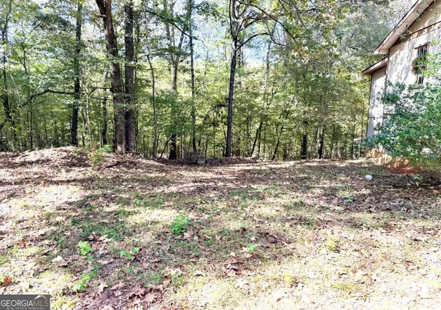 16th image of 0 Towaliga South Rd, Jackson, GA 30233 | MLS# 10807292