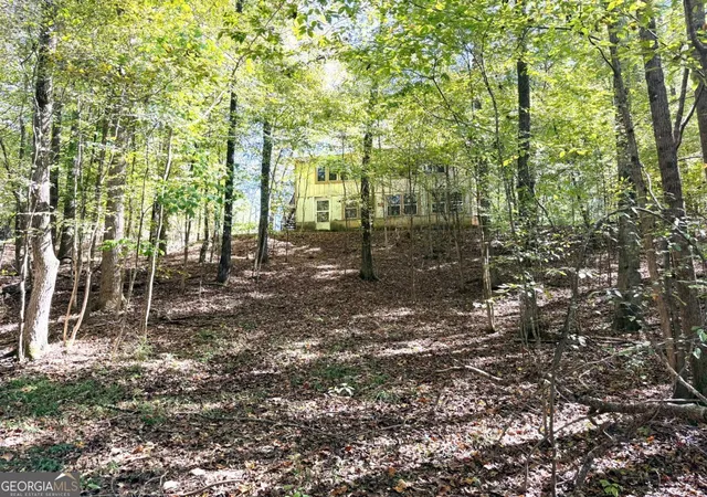 2nd image of 0 Towaliga South Rd, Jackson, GA 30233 | MLS# 10807292