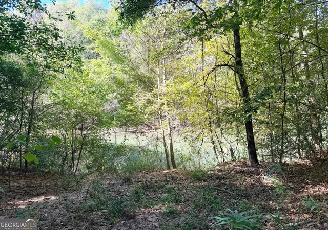 3rd image of 0 Towaliga South Rd, Jackson, GA 30233 | MLS# 10807292