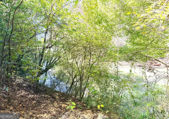 4th image of 0 Towaliga South Rd, Jackson, GA 30233 | MLS# 10807292