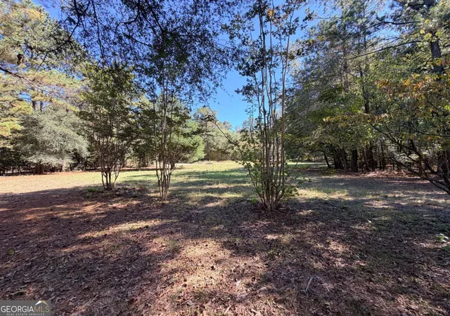 5th image of 0 Towaliga South Rd, Jackson, GA 30233 | MLS# 10807292