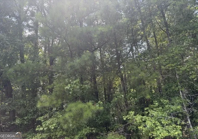 Photo 1 of Land for sale at 3063 Hamlin Rd, Lizella, GA 31052 | MLS# 10811907 | Listing updated on 2026-08-07