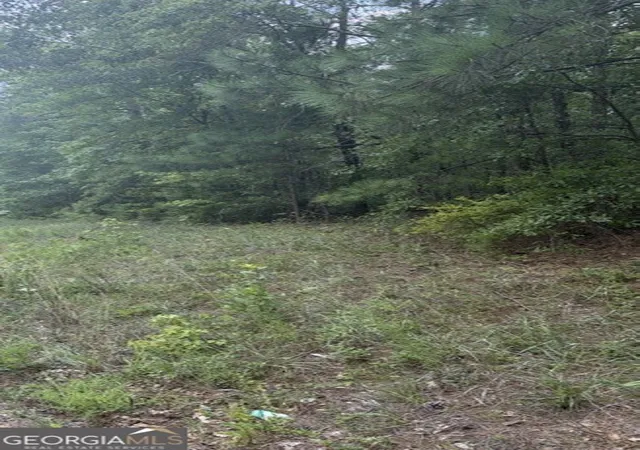 Photo 7 of Land for sale at 3063 Hamlin Rd, Lizella, GA 31052 | MLS# 10811907 | Listing updated on 2026-08-07