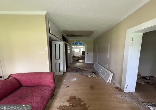 Photo 4 of Single family home for sale at 0 1st Avenue, Hiltonia, GA 30467 | MLS# 10808663 | Listing updated on 2026-08-31