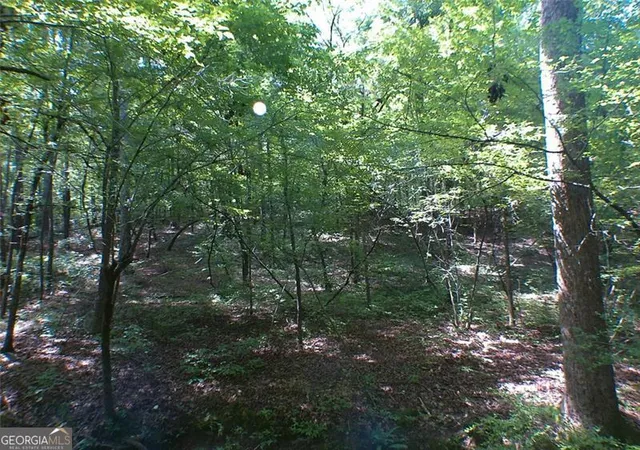Photo 3 of Land for sale at 0 Briarpatch Dr, Covington, GA 30014 | MLS# 10562648 | Listing updated on 2026-07-30