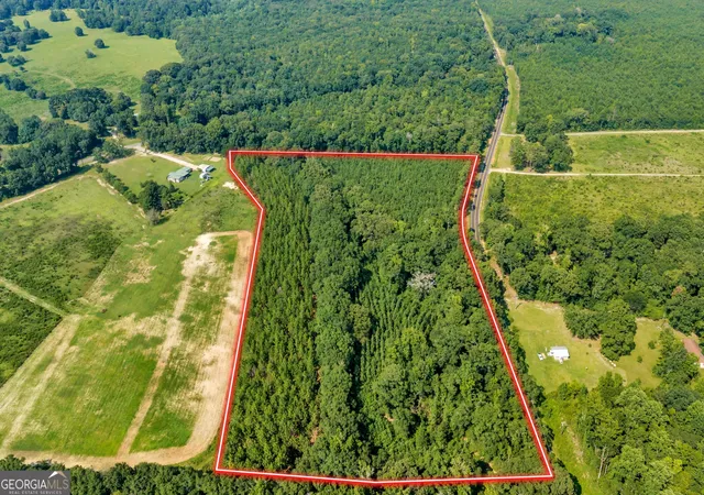 Land for sale at Lot C Atwell Rd, Danville, GA 31017 | MLS# 10833501
