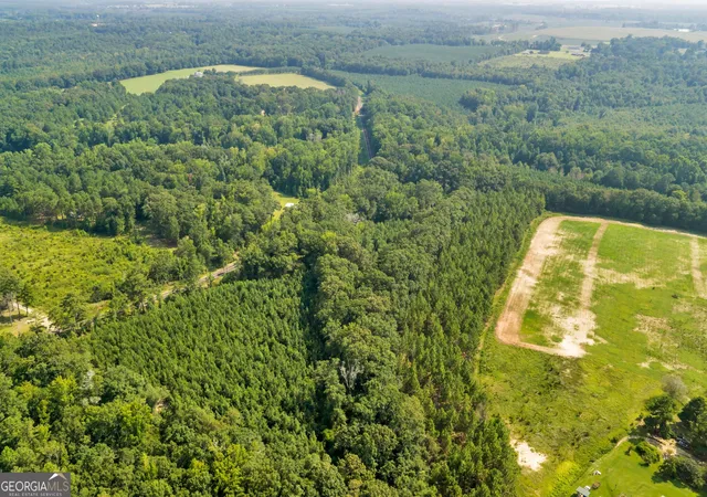 Photo 3 of Land for sale at Lot C Atwell Rd, Danville, GA 31017 | MLS# 10833501 | Listing updated on 2026-08-26