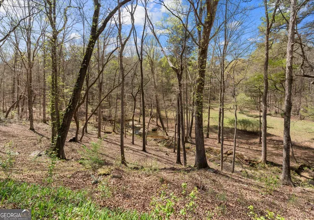 Photo 4 of Land for sale at 3880 Fern Springs Ln, Douglasville, GA 30135 | MLS# 10724088 | Listing updated on 2026-06-09