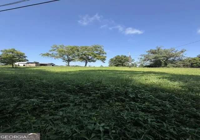Photo 3 of Land for sale at 170 S Kelley St, Tallapoosa, GA 30176 | MLS# 10818859 | Listing updated on 2026-10-07
