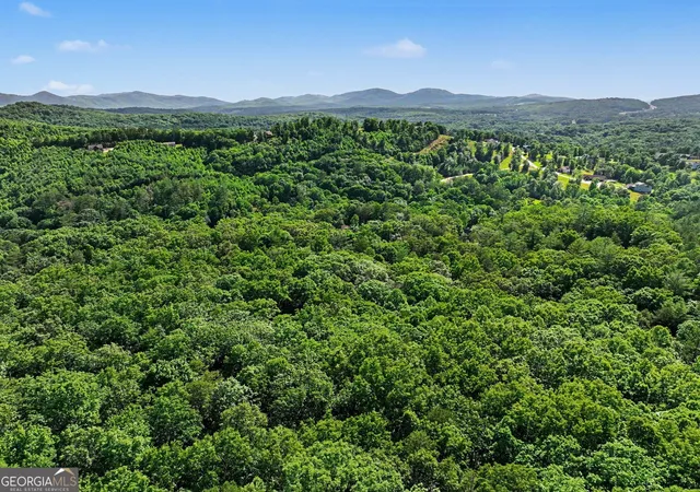 Photo 1 of Land for sale at 230 Rushing Water Dr, Blairsville, GA 30512 | MLS# 10783395 | Listing updated on 2026-08-06