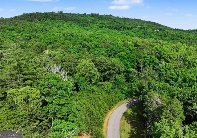 Photo 3 of Land for sale at 230 Rushing Water Dr, Blairsville, GA 30512 | MLS# 10783395 | Listing updated on 2026-08-06