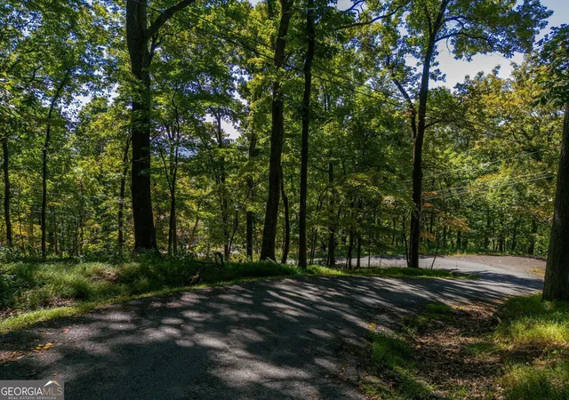Photo 2 of Land for sale at 0 Valley View Vista, Jasper, GA 30143 | MLS# 10723918 | Listing updated on 2026-07-25