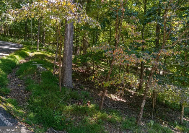 Photo 3 of Land for sale at 0 Valley View Vista, Jasper, GA 30143 | MLS# 10723918 | Listing updated on 2026-07-25