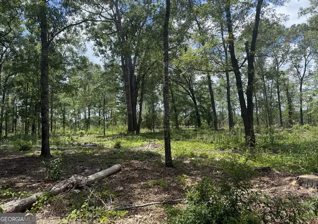 13th image of Helton Cor L Hwy 80, Danville, GA 31017 | MLS# 10812403
