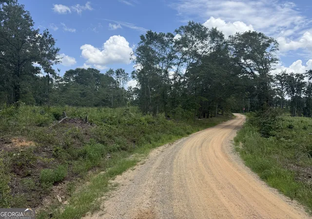2nd image of Helton Cor L Hwy 80, Danville, GA 31017 | MLS# 10812403
