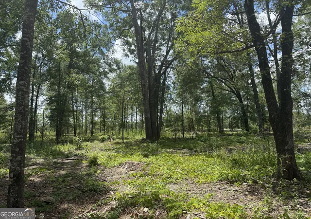 4th image of Helton Cor L Hwy 80, Danville, GA 31017 | MLS# 10812403