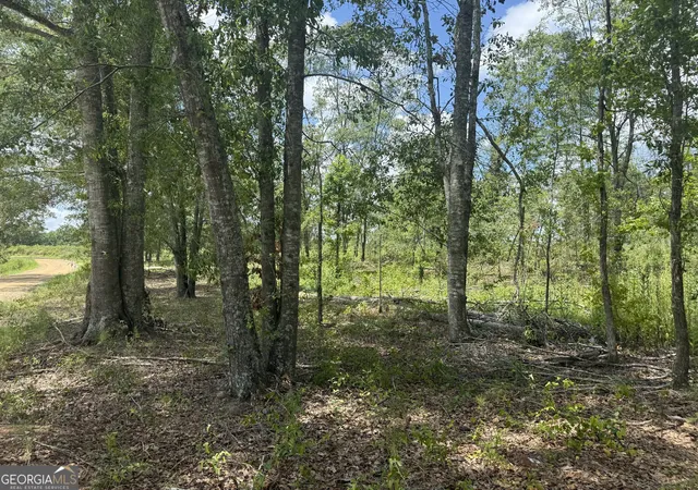 5th image of Helton Cor L Hwy 80, Danville, GA 31017 | MLS# 10812403