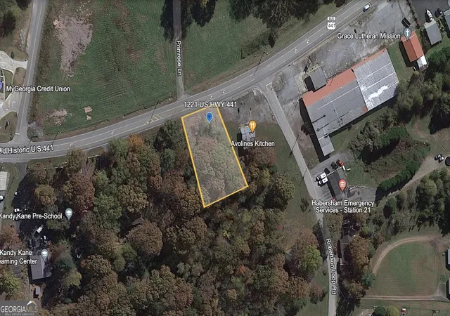 Homes for sale in Clarkesville, GA | 1221 Historic Hwy 441 N, Clarkesville, GA 30523 | MLS# 20155482