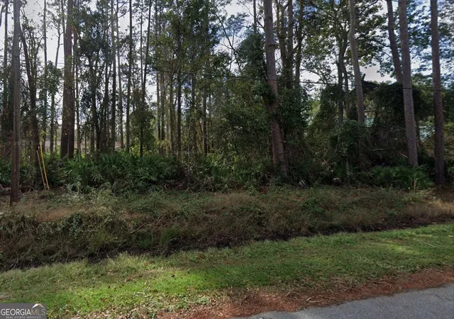 Photo 2 of Land for sale at 333 Midway Cir, Brunswick, GA 31523 | MLS# 10832130 | Listing updated on 2026-09-12
