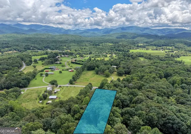 49th image of 1201 Owltown Rd, Blairsville, GA 30512 | MLS# 10819491