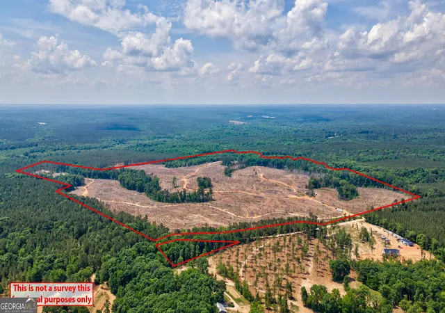 Homes for sale in Carlton, GA | 0 Gene Smith Rd, Carlton, GA 30627 | MLS# 10773072