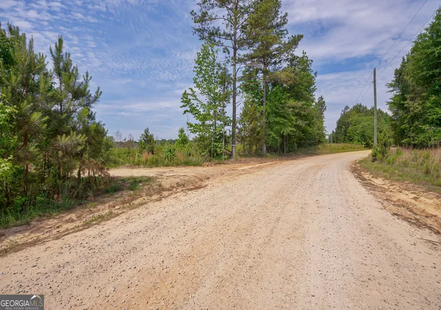 Homes for sale in Carlton, GA | 0 Gene Smith Rd, Carlton, GA 30627 | MLS# 10773072