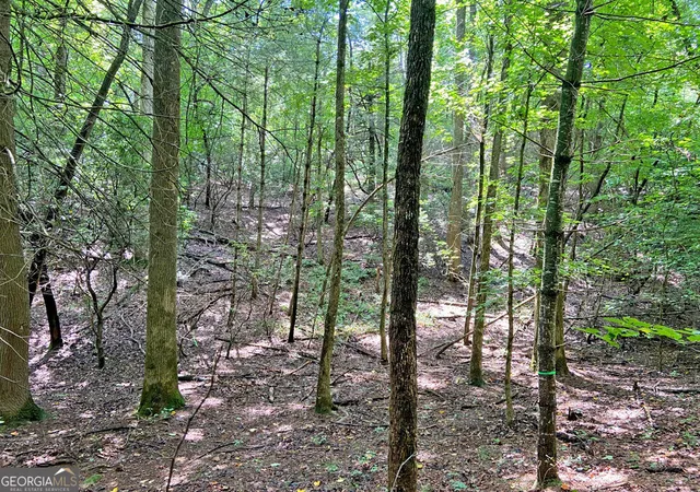 14th image of 11ac T S Jarrard Road, Dahlonega, GA 30533 | MLS# 10827356