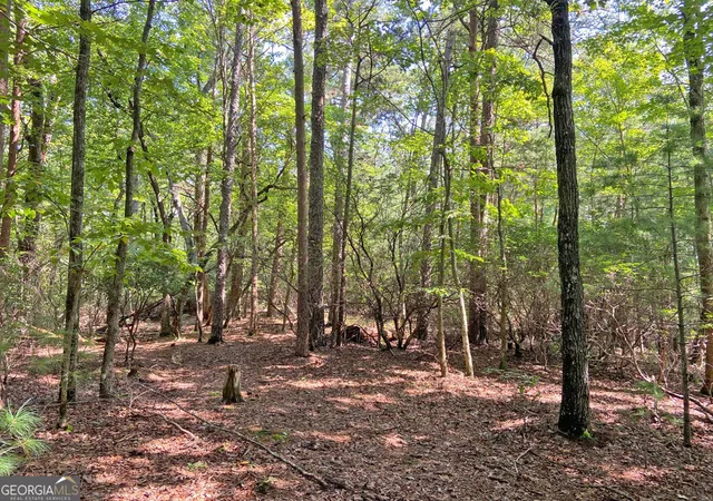 3rd image of 11Ac T S Jarrard Road, Dahlonega, GA 30533 | MLS# 10827356