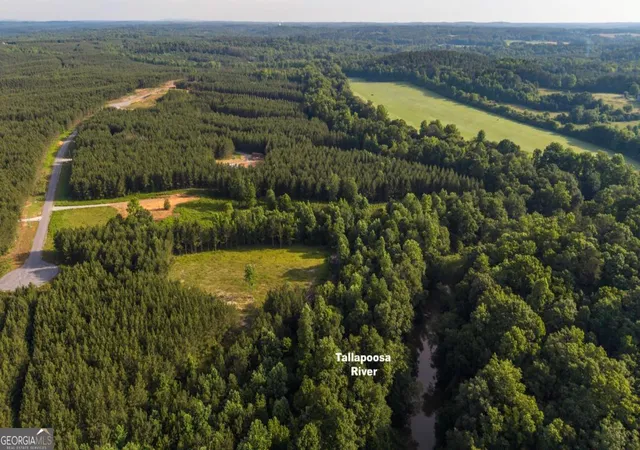 Homes for sale in Tallapoosa, GA | 435 Steadman Ln, Tallapoosa, GA 30176 | MLS# 10779882